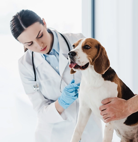 Mansuroğlu Veteriner