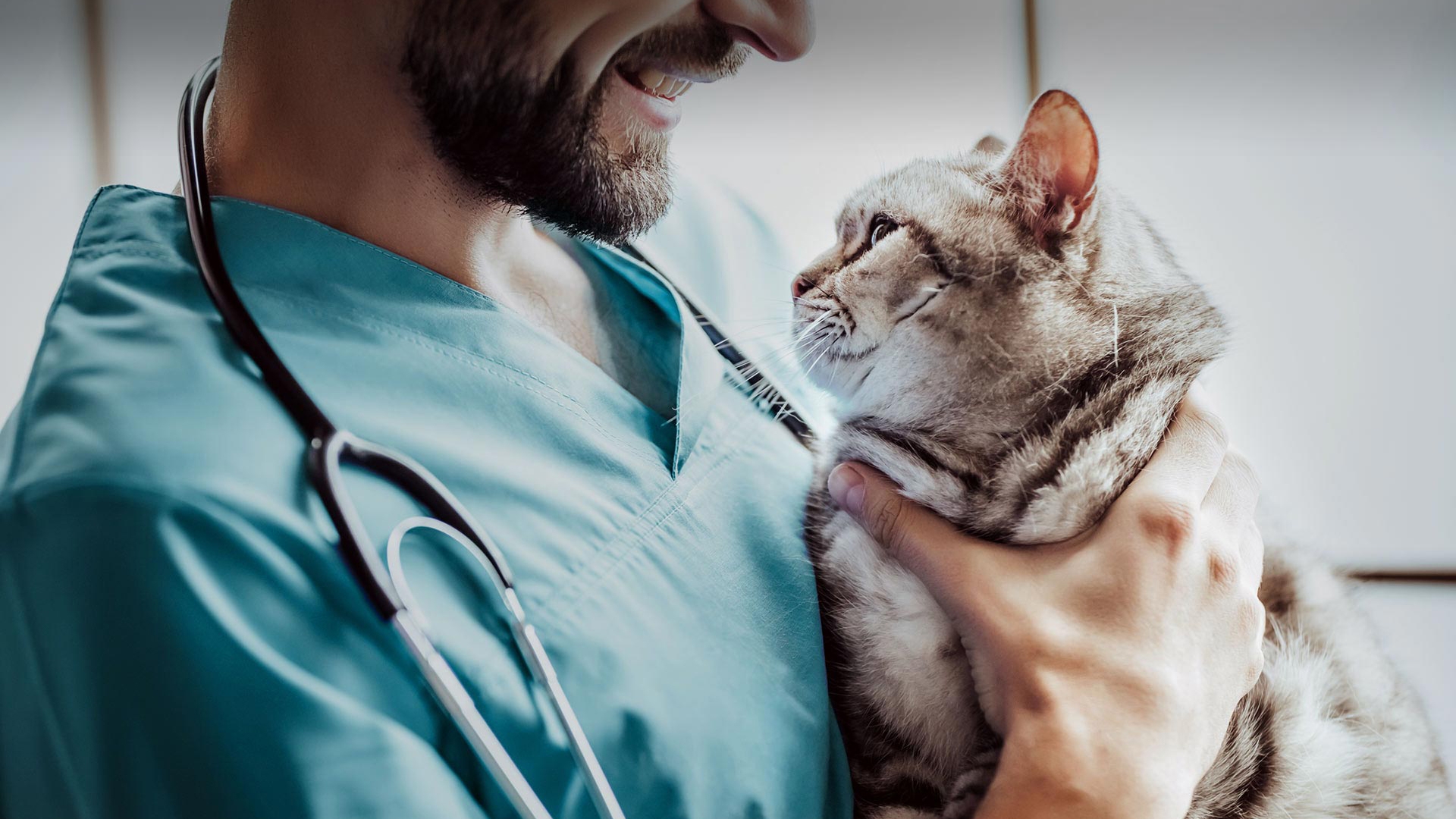 Mansuroğlu Veteriner